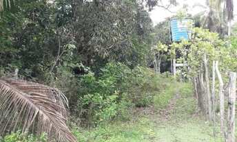 Imagem 4: Chácara 18 tarefas em Conde