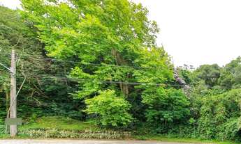 Imagem 4: Terreno/lote residencial residencial para venda, Ipanema, Porto Alegre - TE0377