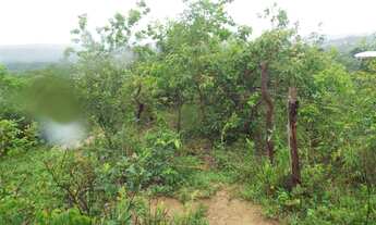 Imagem 5: Lote/terreno à venda em Santa Luzia