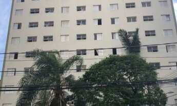 Imagem: Kitinetão no Centro em Campinas Kitnet