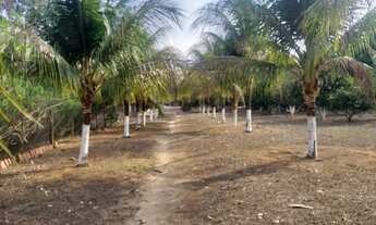 Imagem 6: Chácara na Beira do Lago