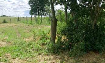 Imagem 5: Chácara em Cosmopolis