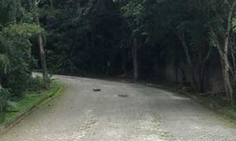 Imagem 4: Terreno para venda no Morada dos Pássaros - Taboão da Serra - SP