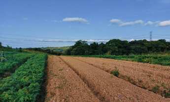 Imagem 5: Lote/Terreno para venda com 500 metros quadrados em Veloso - Osasco - SP