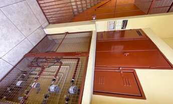 Imagem 4: 05 casa para venda possui 450 m2 de área construída e 250m2 de terreno com ótima renda - J