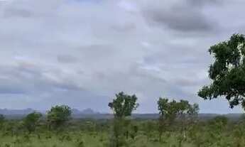 Imagem 3: FAZENDA À VENDA EM RECURSOLÂNDIA - TO - 2.178 HECTARES (DUPLA APTIDÃO