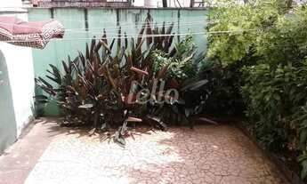 Imagem 4: São Paulo - Casa Padrão - Saúde