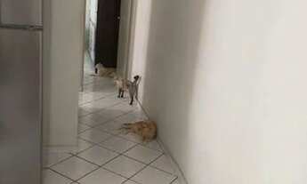 Imagem 6: Apartamento com 2 dormitórios à venda, 50 m² por R$ 200.000,00 - Jockey de Itaparica - Vil