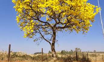 Imagem 4: Sitio Cassia MG Chácara com venda por R$1.590.000