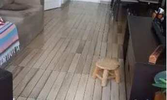 Imagem 4: APARTAMENTO - VILA MASCOTE - SP