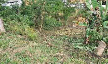 Imagem 4: Lote quinta dis lontras