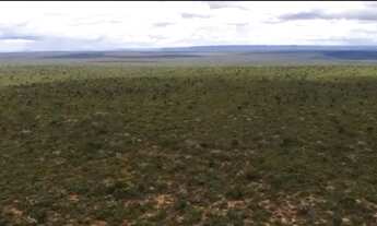 Imagem 2: Fazenda em Alto Parnaiba-MA. 21mil