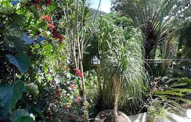 Imagem 2: Condominio Vila Floresta duplex 4 dormitórios à venda, 233 m² por R$ 1.500.000,00 - Pendot