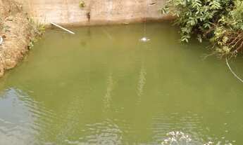 Imagem 3: VENDO SÍTIO DOMINGOS MARTINS direto proprietário 10 mil mts