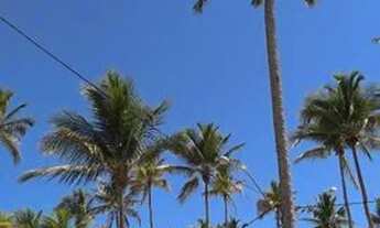 Imagem 7: Casa de praia em Canavieiras