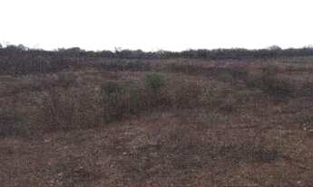 Imagem 2: SERRA TALHADA - Terreno Padrão - TANCREDO NEVES