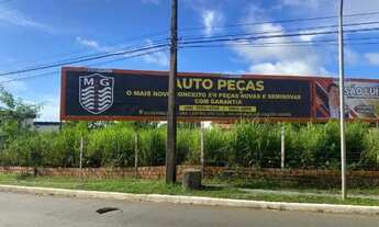 Imagem 4: Terreno 1950 m², avenida dos holandeses, proximo ao sport gardem