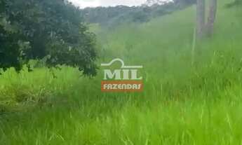 Imagem 4: Chácara 14 alqueires (67,76 HAC) Varjão - Go