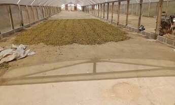 Imagem 7: Venda-se está propriedade de 19,5 no Município de Vargem Alta/ES