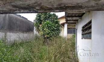 Imagem 5: Terreno bem localizado