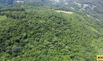 Imagem 7: Sítio / Chácara para Venda em Nova Petrópolis, Linha Olinda, 2 dormitórios, 1 banheiro