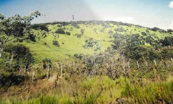 Imagem 2: /Terreno com 270 hectares na BR 174