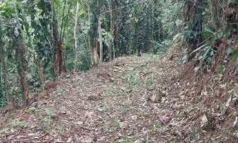 Imagem 6: 2 hectares com cachoeira apenas 197 mil reais lindo