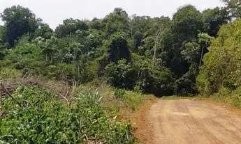 Imagem 4: /Lote em Açutuba com 4000 m2