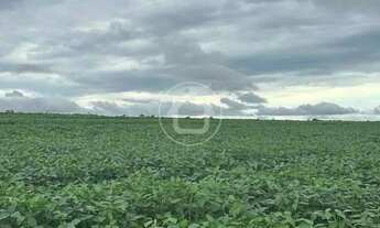 Imagem: FAZENDA COM 960 HECTARES, 551 PLANTACAO