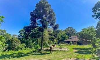 Imagem 6: Vendas Chácara Mandirituba PR