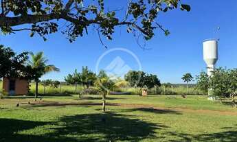 Imagem 4: Chácara em Niquelândia com 6 alqueires codigo: 155905