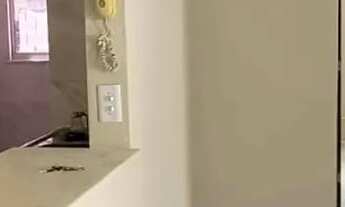 Imagem 4: Apartamento com 2 quartos para alugar em Fortaleza - CE