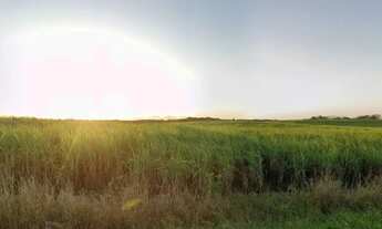 Imagem 2: Leilão - Rural - De R$59.872.396,00 Por R$44.904.297,00