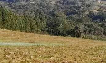Imagem 3: VIVA A NATUREZA: TERRENOS PARA VENDA NO INTERIOR DE SÃO PAULO