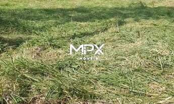 Imagem 7: Terreno à venda e para alugar em Piracicaba, Santa Rita, com 1007.5 m²