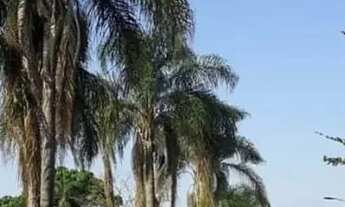 Imagem 7: Chácara em Vargem - Rio Acima - Vargem/SP