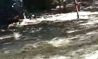 Imagem 5: Vendo terreno de 1.000 mt2