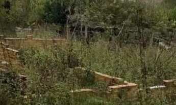 Imagem 2: Terreno a venda Terreno / lote com venda por R$55.000