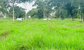 Imagem 6: 60 tarefas com riacho perene e pastagem formada