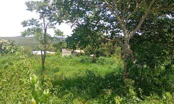 Imagem 6: Leiam com atenção