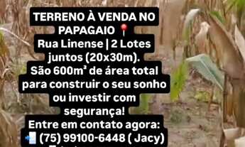 Imagem: Terreno Papagaio