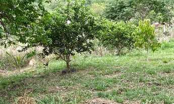 Imagem 2: CHÁCARA EM HEITORAÍ - RIO URU