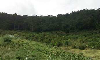 Imagem 5: Vendo Sítio em Maria Mendonça, 4 Distrito, Trajano de Moraes