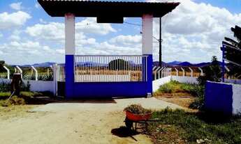 Imagem 3: Belíssimo sítio com casas, curral, tronco, embarcador, baias e piscina