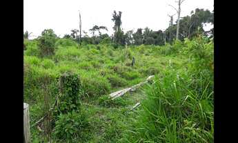 Imagem 2: Terra documentada gel car 35 alkeiros