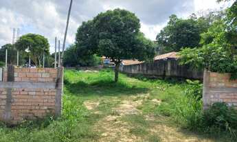 Imagem 6: Terreno COM 1.300M2(20X65(à Venda na Frente da Praia de Alter do Chão, Santarém PA