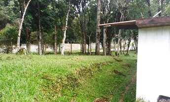 Imagem 5: Excelente chácara