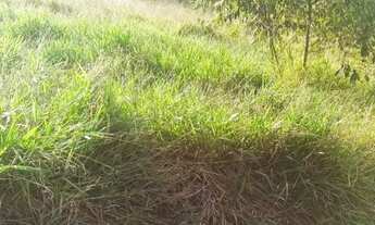 Imagem 3: 1M Lote/Terreno para venda com 999 metros quadrados em Mato Dentro - Mairiporã - São Paulo