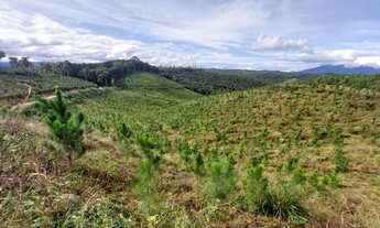 Imagem 6: CHÁCARA com 1 dormitório à venda com 339694m² por R$ 980.000,00 no bairro MACACOS - BOCAIU