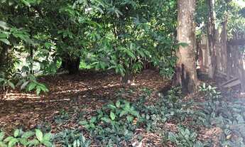 Imagem 4: Ponto comercial Galpão / depósito com 2 vagas na garagem